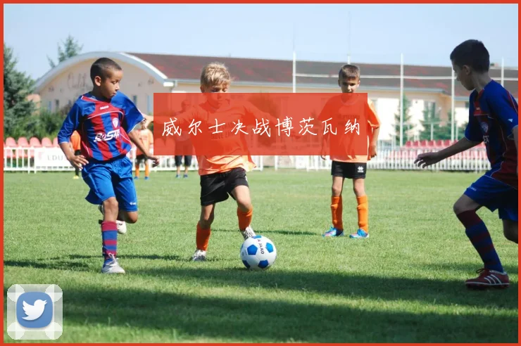 威尔士决战博茨瓦纳