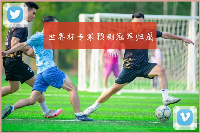 世界杯专家预测冠军归属